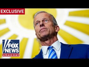 Read more about the article Thune WARNS of cyber ops at risk as Iran conflict festers