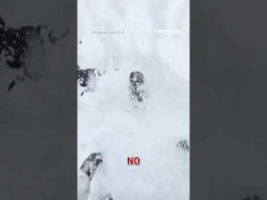 Read more about the article Skier RESCUED after falling HEAD FIRST into deep snow #shorts #viral #us #news #foxnews