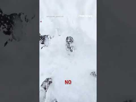 Read more about the article Skier RESCUED after falling HEAD FIRST into deep snow #shorts #viral #us #news #foxnews