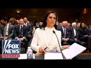 Read more about the article WATCH LIVE: Tulsi Gabbard testifies in hearing to examine ‘worldwide threats’