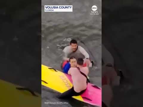 Read more about the article Florida cops ride paddleboards to catch suspect who jumped into river