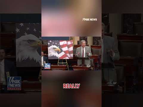 You are currently viewing Sen Kennedy: You wouldn’t put these people in charge of a ham sandwich #shorts #foxnews #news #us