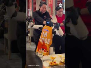 Read more about the article Restaurant staff forced to restrain dancing robot run amok