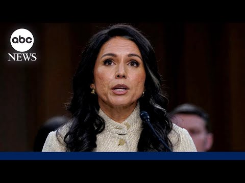 You are currently viewing Tulsi Gabbard grilled by lawmakers on war with Iran