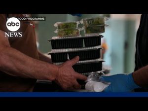 Read more about the article 45 million people will face acute food insecurity if Iran war continues: WFP