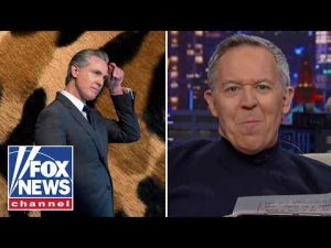 Read more about the article ‘Gutfeld!’: Newsom busy protecting cougars… and he wants to be your president