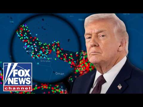 Read more about the article THIS is Trump’s TOP PRIORITY in Middle East: American Petroleum Institute CEO