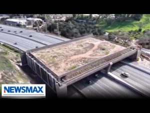 Read more about the article ‘Gavin Newsom’s bridge to nowhere’: The Right Squad