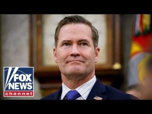 Read more about the article WATCH LIVE: Michael Waltz testifies before House lawmakers