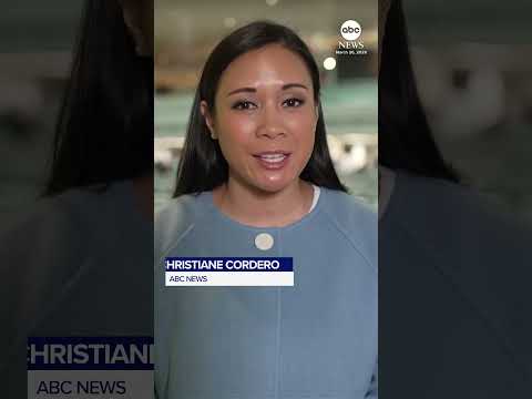 Read more about the article TSA call outs rise at certain airports across the U.S.