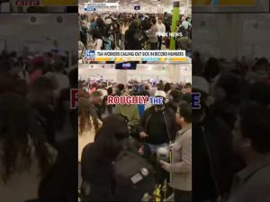 Read more about the article AIRPORT NIGHTMARE: Record TSA callouts spark nationwide travel chaos