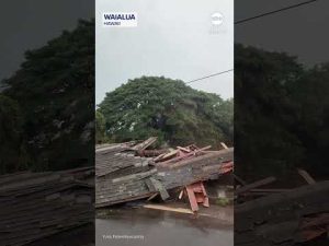 Read more about the article Flash floods in Hawaii lead to mass evacuations on Oahu island