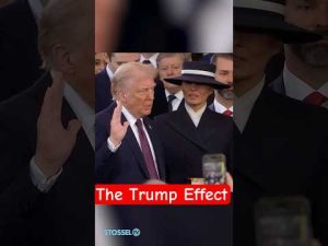 Read more about the article The Trump Effect