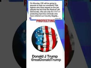 Read more about the article BREAKING: Trump says ICE will be at US airports next week #shorts #ICE #DHS #news #foxnews #usnews