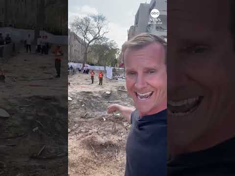 Read more about the article Dozens injured in Arad attack, Israeli officials say