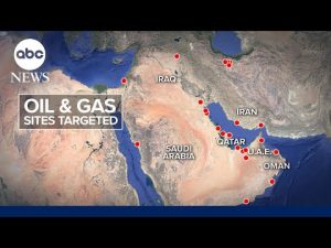 Read more about the article Trump doesn’t have many options on Iran: NIAC chairman