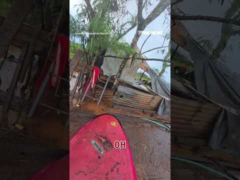 You are currently viewing HEROIC RESPONSE: A good Samaritan springs into action to rescue dogs stranded #dog #shorts