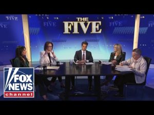 Read more about the article ‘The Five’ on Dems’ ‘DISGRACEFUL shutdown’