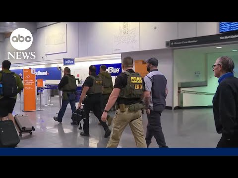 You are currently viewing ICE agents deployed to multiple airports across US in effort to assist TSA