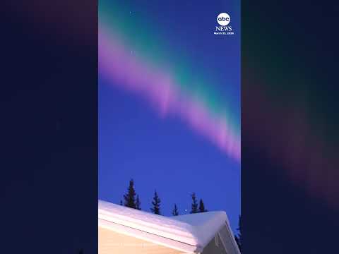 You are currently viewing Alaska resident captures ‘insane’ northern lights