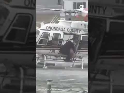 You are currently viewing Police use helicopter to rescue dog from river