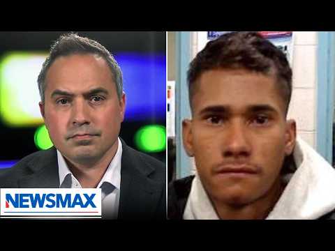 Read more about the article Sanctuary cities under fire after murder of college student in Illinois | National Report