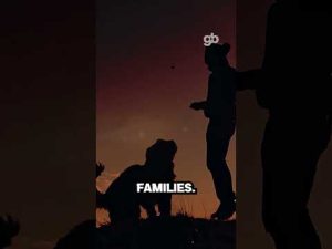 Read more about the article We Could Learn Something from These Dogs