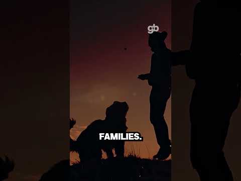 You are currently viewing We Could Learn Something from These Dogs