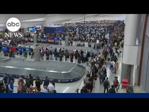 Read more about the article What airport lines look like right now