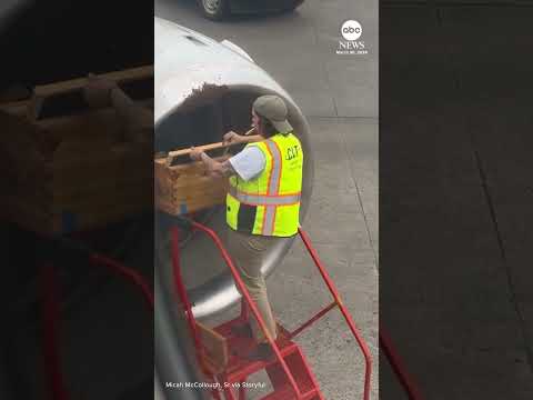 Read more about the article Beehive removed from plane before flight takes off from North Carolina