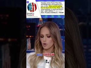 Read more about the article Tomi Lahren on liberals’ reactions to Trump’s ‘colorful language’ #news #foxnews #us #iran #trump