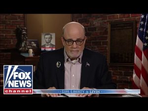 Read more about the article Levin: How is this an automatic grant of birthright citizenship to children of illegal immigrants?