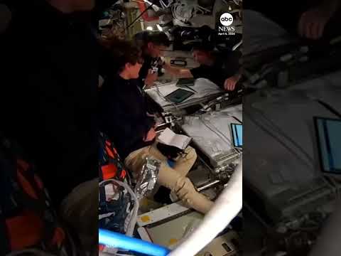 You are currently viewing Artemis II crew names moon crater after late wife of astronaut Reid Wiseman