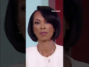 Read more about the article Dem ADMITS party ‘lost the plot’ amid woke politics push #shorts #us #news #politics #foxnews