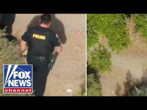 Read more about the article JUST IN: Human remains found during Easter egg hunt