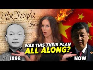 Read more about the article How China is Building an Army of “US Citizens” | The ‘Birthright Citizenship’ SCAM