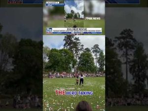 Read more about the article WATCH: Woman saves toddler moments before Easter egg drop #foxnews #news #shorts #easter #holiday