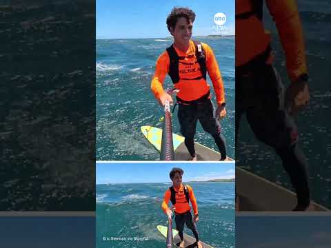 You are currently viewing Whale surfaces right next to hydrofoil surfer off Hawaii