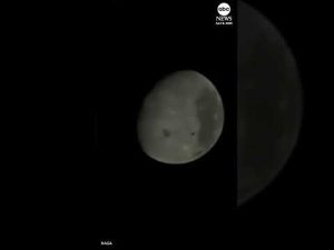 Read more about the article NASA references ‘Project Hail Mary’ during Artemis II broadcast