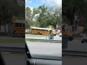 Read more about the article School bus driver charged after train narrowly misses children