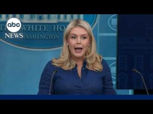 Read more about the article ‘Iran has agreed to open the Strait of Hormuz’: White House