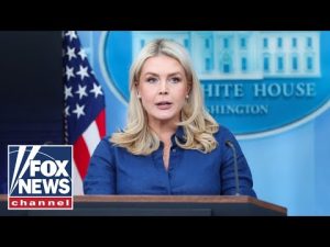 Read more about the article Leavitt BLASTS Iran’s peace wish list: ‘Literally thrown in the garbage’