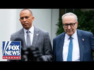 Read more about the article The left needs to ‘RECALIBRATE and get it TOGETHER,’ says radio host