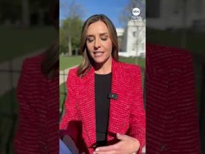 Read more about the article Melania Trump declares ‘I am not Epstein’s victim’