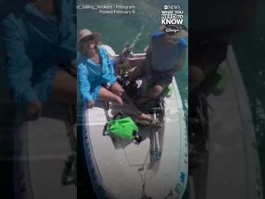 Read more about the article Husband of Lynette Hooker is maintaining his innocence, his lawyer tells ABC News