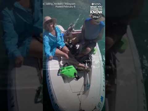 Read more about the article Husband of Lynette Hooker is maintaining his innocence, his lawyer tells ABC News