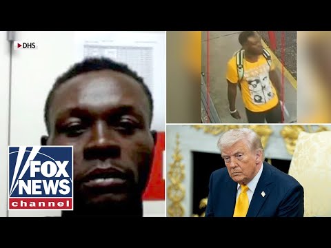 You are currently viewing Trump FRUSTRATION grows after illegal immigrant hammer attack