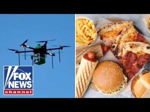 Read more about the article REALLY FAST FOOD: Delivery drones make first launch