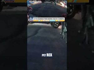 Read more about the article WATCH: Sheriff’s dog tracks down missing child in Colorado #foxnews #news #shorts #police