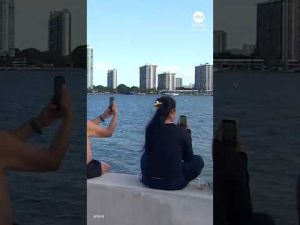 Read more about the article 23-story Miami hotel demolished to make way for new development